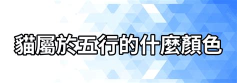 貓的五行|【貓屬五行】貓屬五行！釐清寵物五行與主人運勢的奧秘